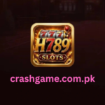 H 789 Game